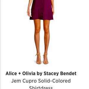 Alice+Olivia shirt dress